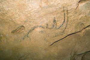 2 rinocer coliboaia 300x200 Cea mai veche arta rupestra din Europa