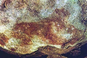 5 felina cuciulat 6 300x201 Cea mai veche arta rupestra din Europa